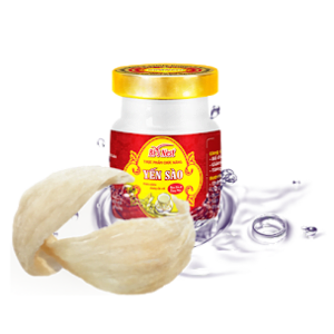 Yến sào Bi's nest